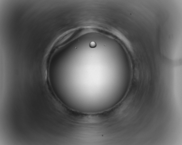 X0000088711368200706141441