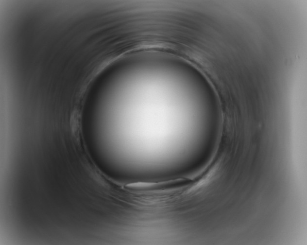 X0000088711369200706141441