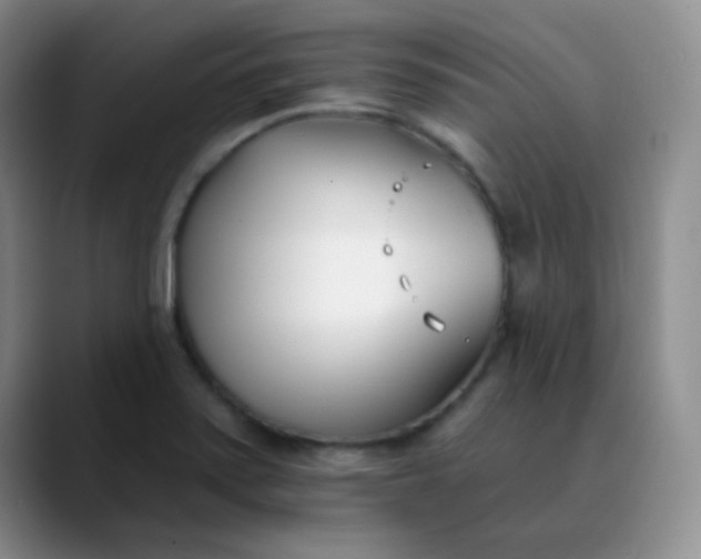 X0000088711371200706141441