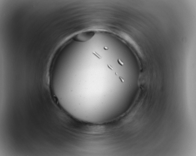 X0000088711372200706141441