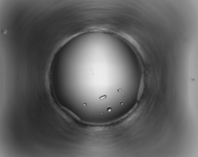 X0000088711373200706141441