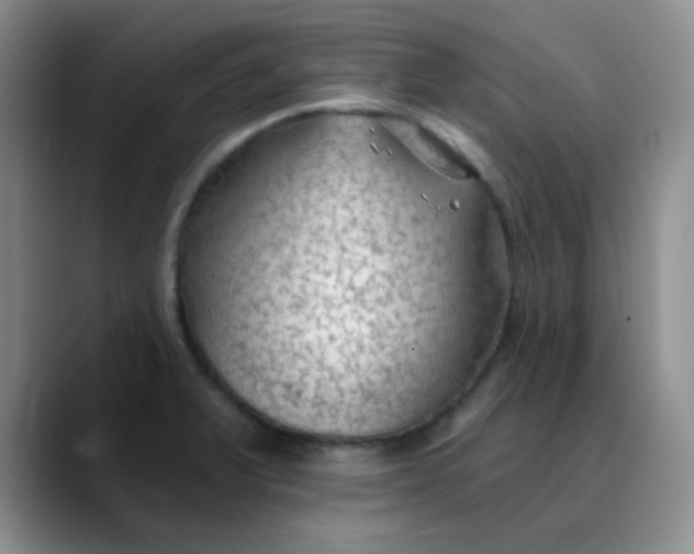 X0000088711375200706141440