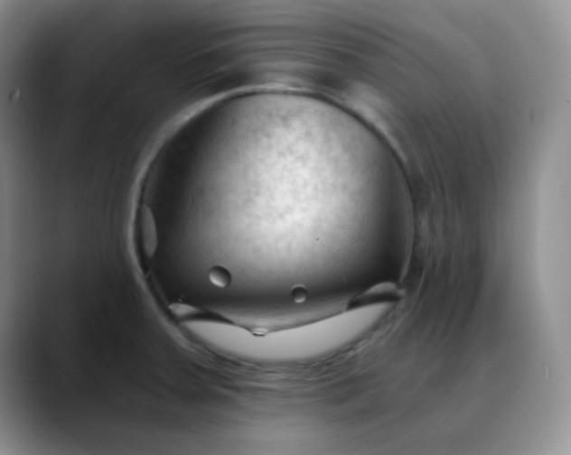 X0000088711379200706141440