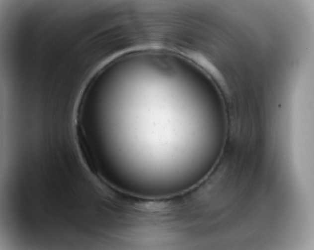 X0000088711380200706141440