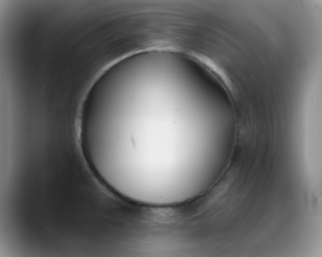 X0000088711383200706141440