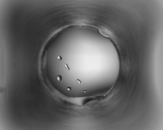 X0000088711384200706141440