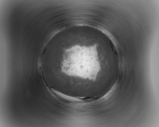 X0000088711385200706141440