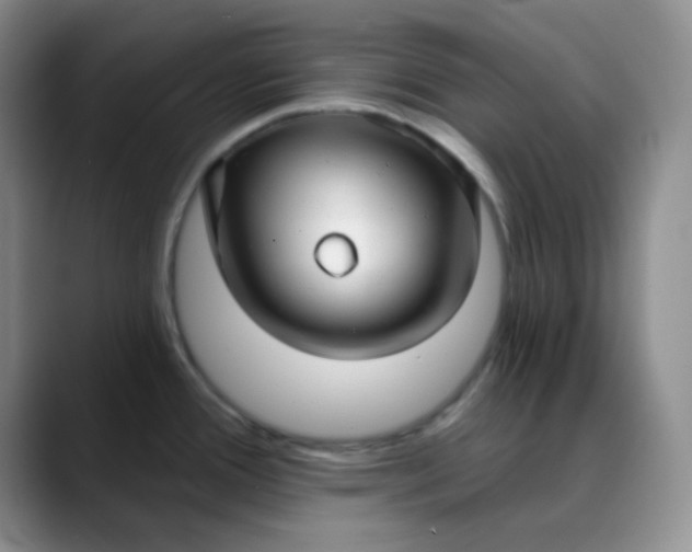 X0000088711388200706141440