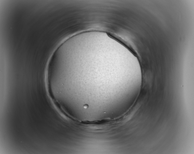 X0000088711391200706141440