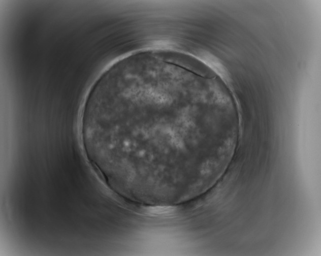 X0000088711392200706141440