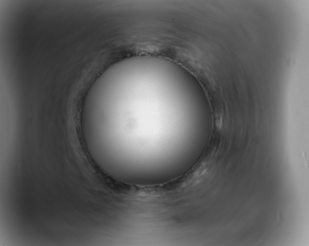 X0000088711393200706141440