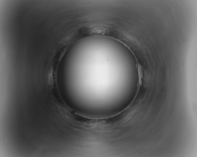 X0000088711394200706141440