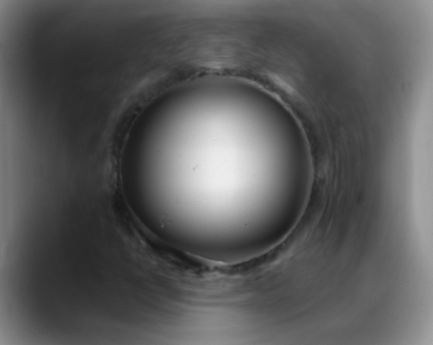 X0000088711398200706141440