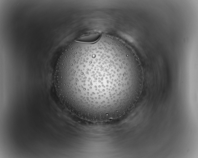 X0000088711399200706141440