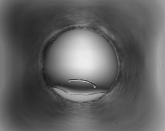 X0000088711400200706141440