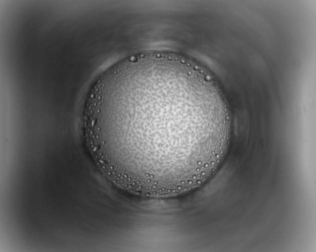 X0000088711405200706141440