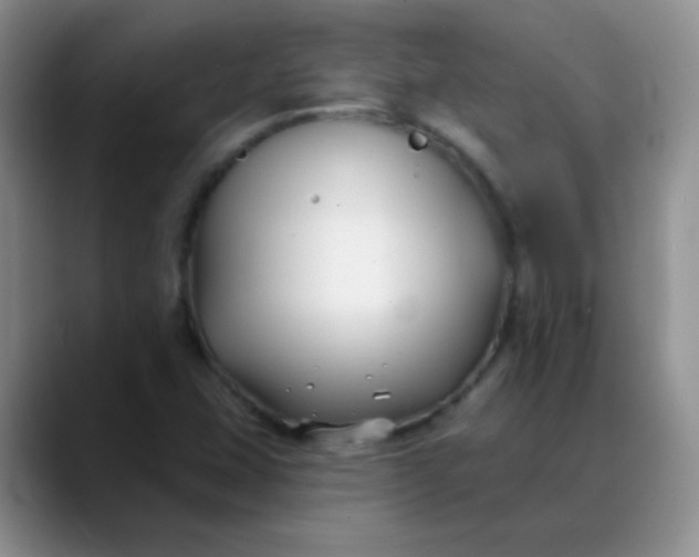 X0000088711407200706141440