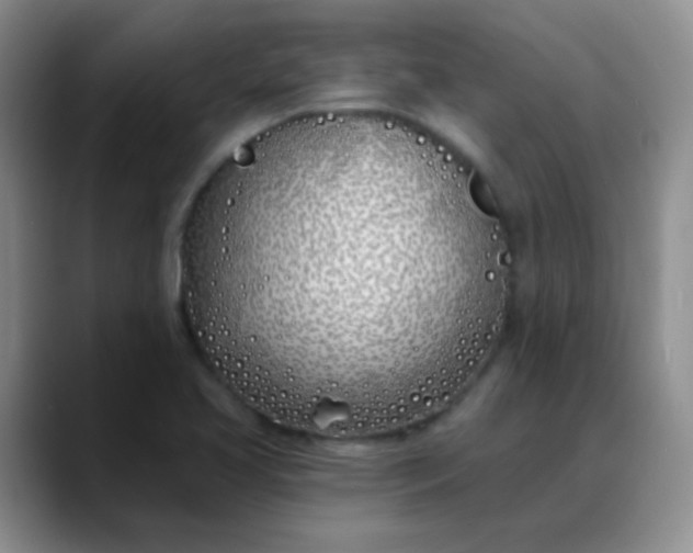 X0000088711413200706141440