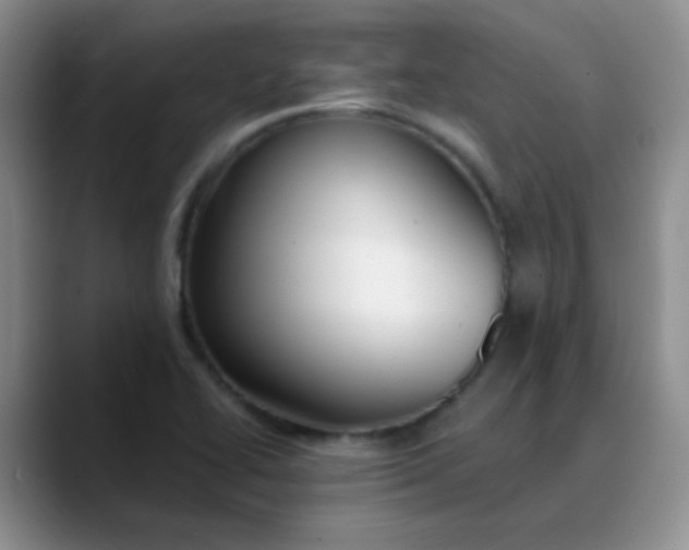 X0000088711414200706141440