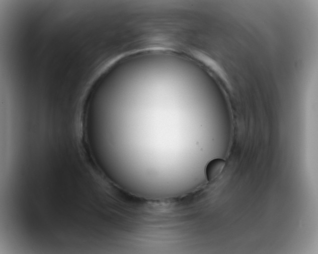 X0000088711415200706141440