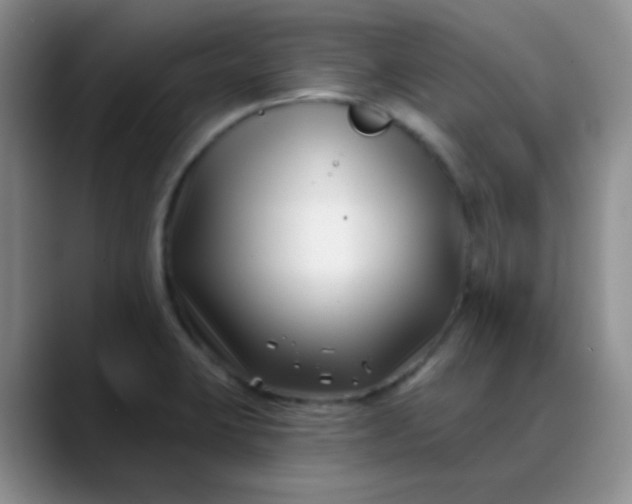 X0000088711423200706141440