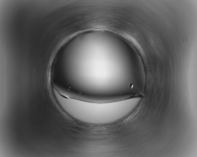 X0000088711424200706141440