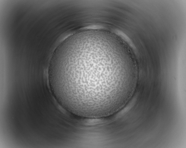 X0000088711425200706141440