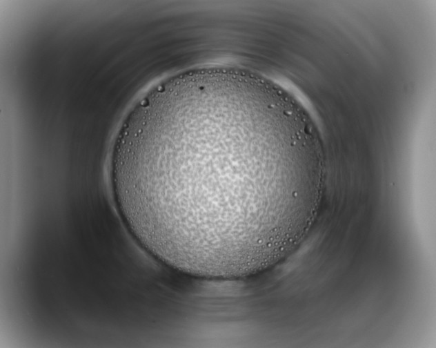 X0000088711429200706141440