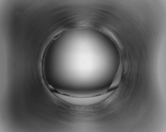 X0000088711434200706141440