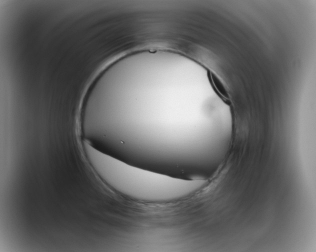 X0000088711436200706141440