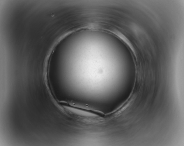 X0000088711437200706141440