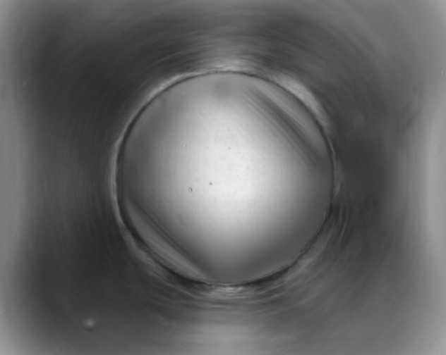 X0000088711439200706141440