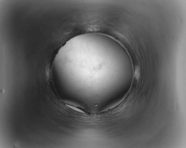 X0000088711444200706141440