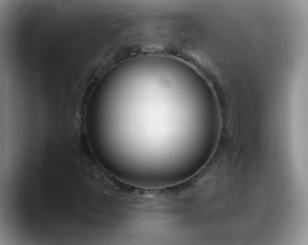 X0000088711445200706141440