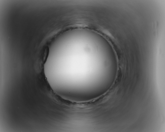 X0000088711448200706141440