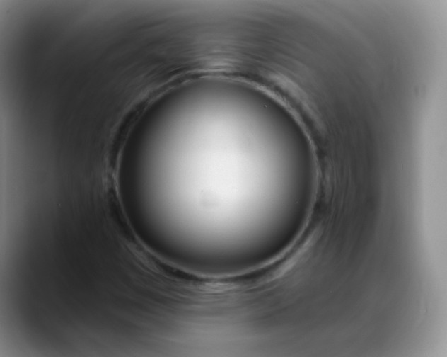 X0000088711449200706141440