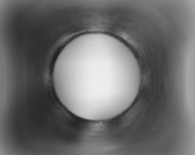 X0000088711454200706141440