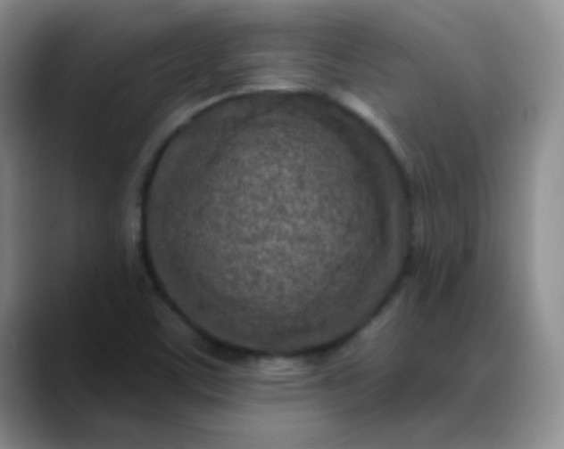 X0000088711459200706141440