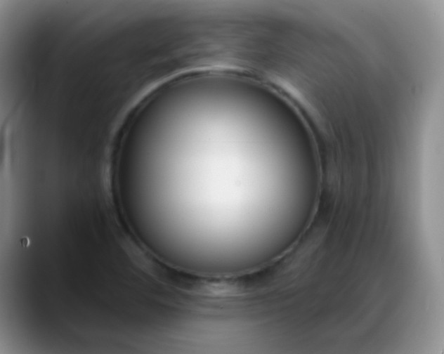 X0000088711460200706141439