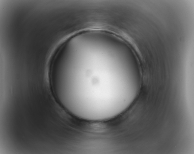 X0000088711464200706141439