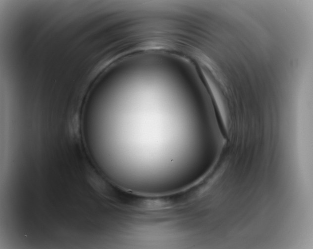 X0000088711465200706141439