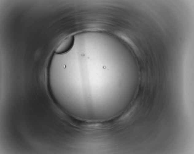 X0000088711467200706141439