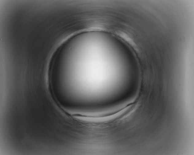 X0000088711469200706141439