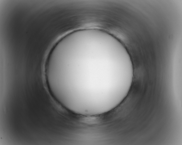 X0000088711470200706141439