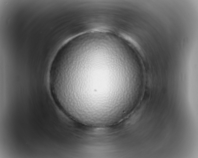 X0000088711471200706141439