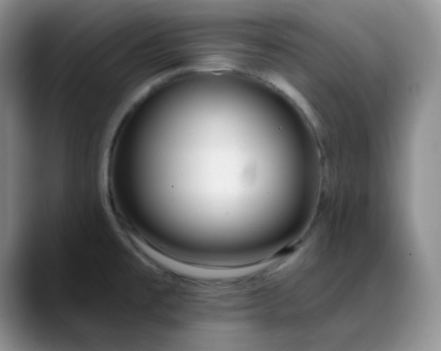 X0000088711477200706141439