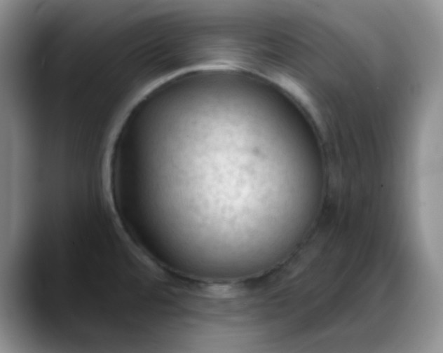 X0000088711480200706141439