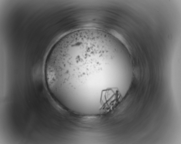 X0000088711482200706141439