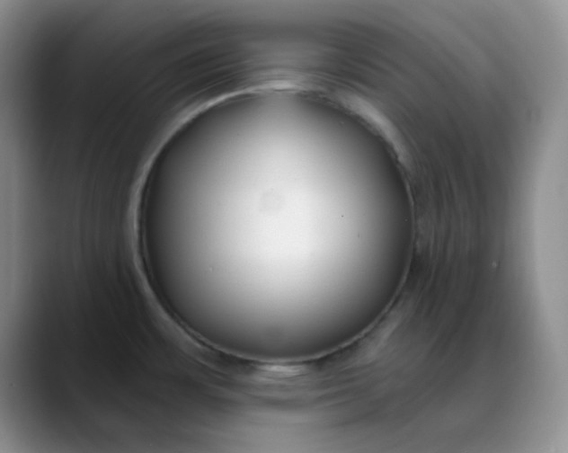 X0000088711483200706141439