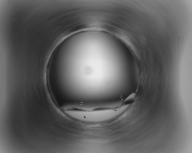 X0000088711484200706141439